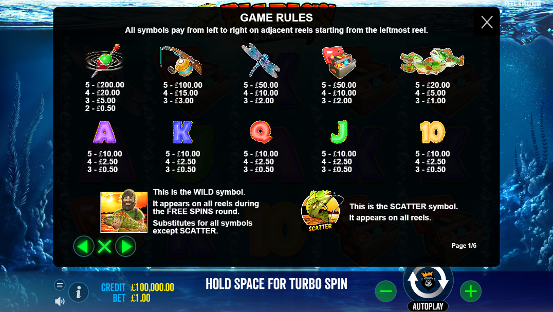 Big Bass Bonanza Features